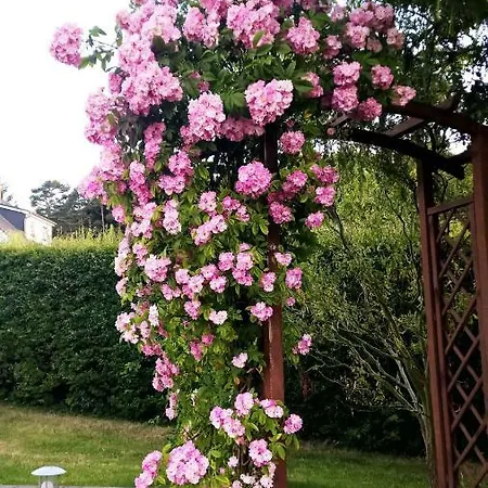 Gaestehaus Schulz * Heringsdorf (Usedom)