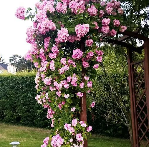 Gaestehaus Schulz * הרינגסדורף